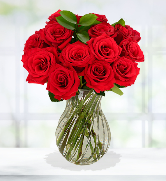 12 Red Roses | Avas Flowers
